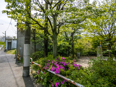 Noge Nichome Sakura Park 사진 4