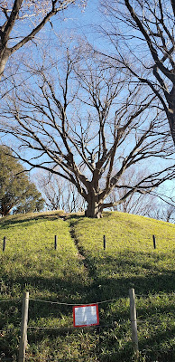 Tamagawa Nogemachi Park 사진 3