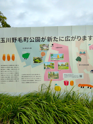玉川野毛町公園（拡張エリア） 사진 4