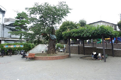 지유가오카 공원 사진 3
