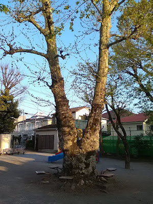 오오카야마 공원 사진 2
