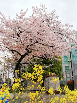 겐지젠 공원 사진 3