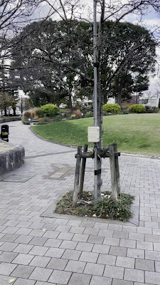 시나가와 츄오 공원 사진 2
