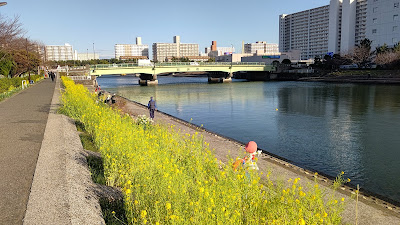 Hanakaido Park 사진 3