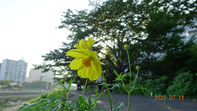 Hanakaido Park 사진 4