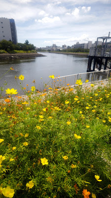 Hanakaido Park 사진 5