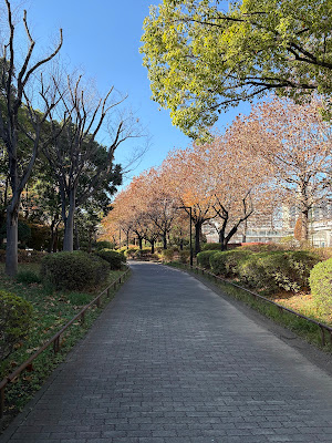 야시오 공원 사진 5