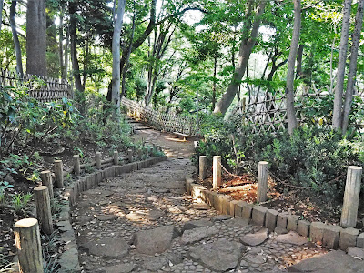 토고시 공원 사진 4