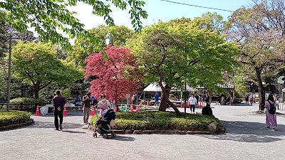 토고시 공원 사진 2