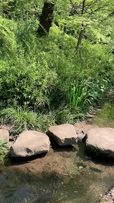 Okamoto Park 사진 2