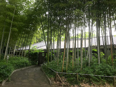 Okamoto Park 사진 3