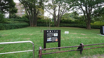 고마자와 공원 사진 4
