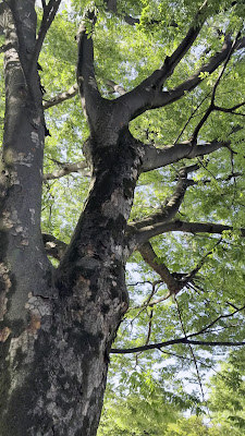 후스마쵸 공원 사진 2