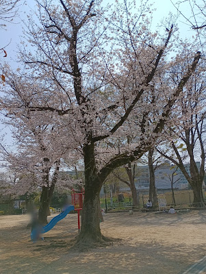 히가시네 공원 사진 4