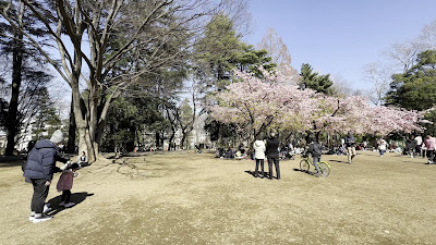 도립 린시노모리 공원 사진 2