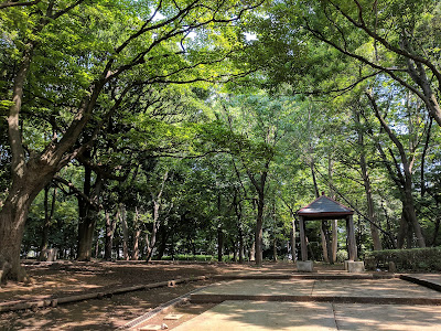 도립 린시노모리 공원 사진 5