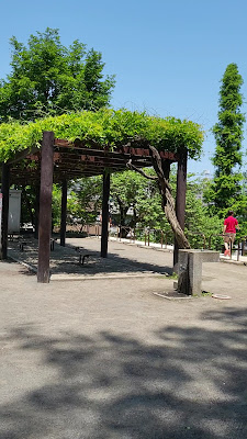 후도 공원 사진 2