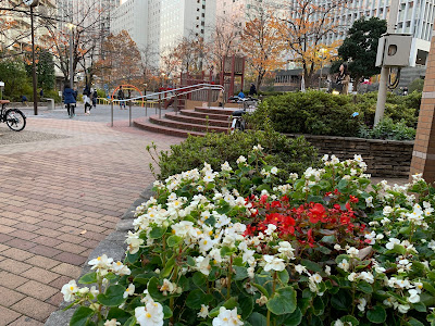 오나리바시 공원 사진 5