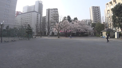 히가시야츠야마 공원 사진 2