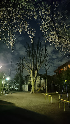 Yōga Park 사진 3