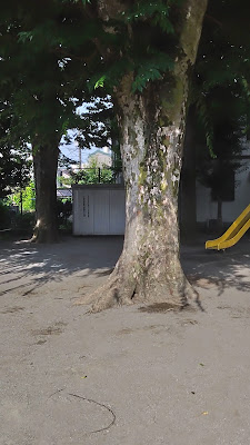 Yōga Park 사진 2