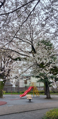 세타가야 구립 노자와2쵸메 공원 사진 3