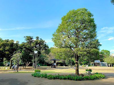 Shirokanedai Donguri Children's Playground 사진 3