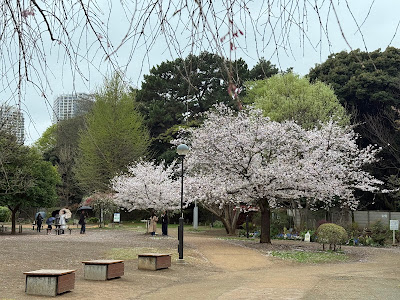 Shirokanedai Donguri Children's Playground 사진 4