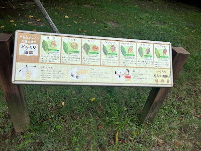 Shirokanedai Donguri Children's Playground 사진 5