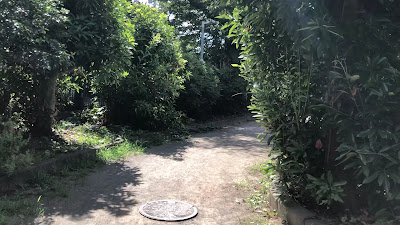 노가와 녹지 공원 사진 2