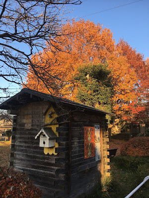 노비노비 공원 사진 5