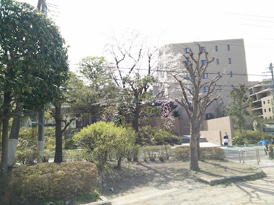 미사사기야마 공원 사진 5