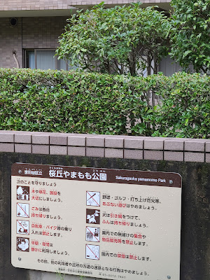사쿠라가오카 야마모모 공원 사진 3