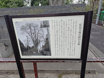 나가시마오오에노키 공원 사진 5
