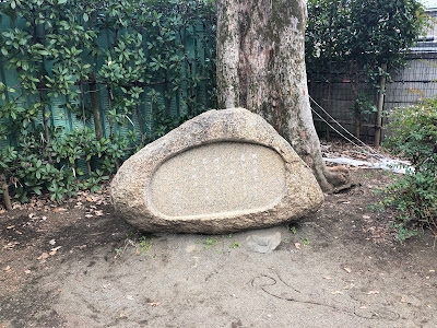 사쿠라 공원 사진 3