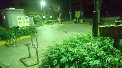 사쿠라 공원 사진 5