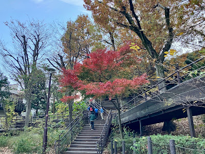 Wakabayashi Park 사진 5