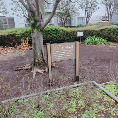 세타가야 구립 톤보히로바 공원 사진 2