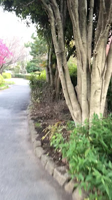 히가시야마 공원 사진 2