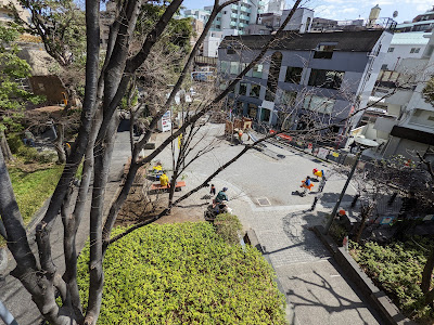 다이칸야마 공원 사진 5