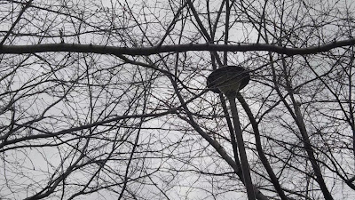 시로카네 공원 사진 2