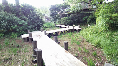 사네아츠 공원 사진 5
