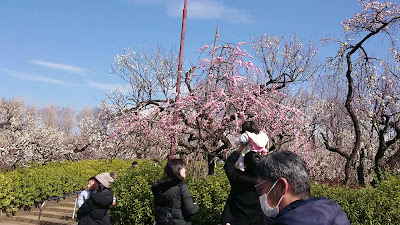 하네기 공원 사진 2