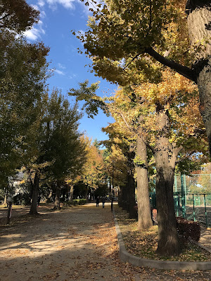 하네기 공원 테니스코트 사진 3