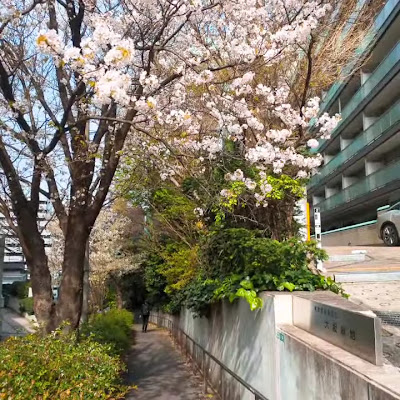 오사카 녹지 공원 사진 2