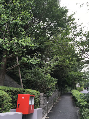 오사카 녹지 공원 사진 4