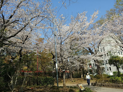 히로오키타 공원 사진 3