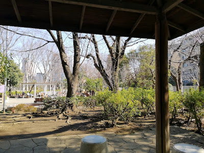 히로오키타 공원 사진 5