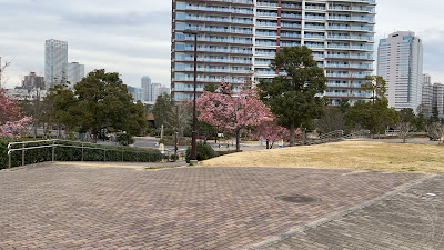 Waterside Terrace 사진 2