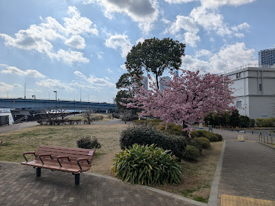 Waterside Terrace 사진 5